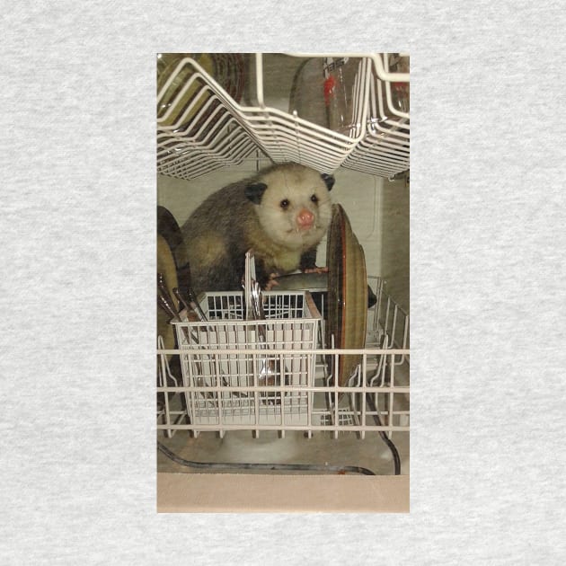 Dishwasher Possum by FlashmanBiscuit